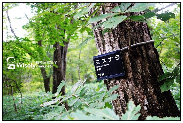 【旅行】2013日本。栃木縣：那須平成之森＠親近大自然，曾為皇室專屬的日光國立公園