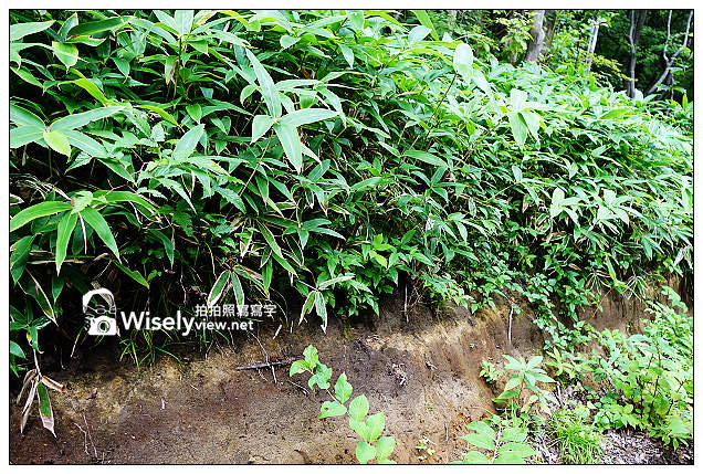 【旅行】2013日本。栃木縣：那須平成之森＠親近大自然，曾為皇室專屬的日光國立公園