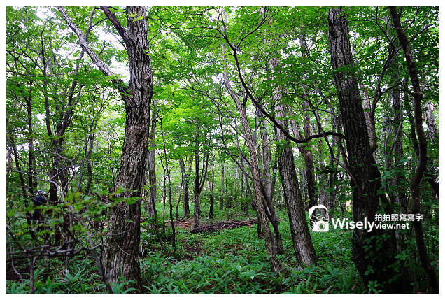 【旅行】2013日本。栃木縣：那須平成之森＠親近大自然，曾為皇室專屬的日光國立公園