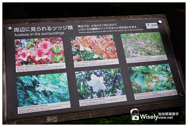 【旅行】2013日本。栃木縣：那須平成之森＠親近大自然，曾為皇室專屬的日光國立公園