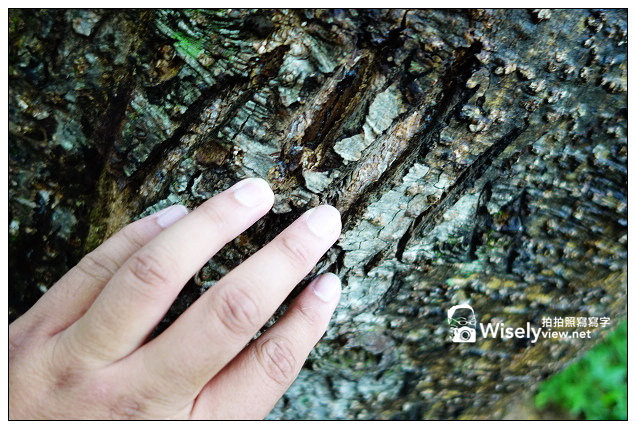 【旅行】2013日本。栃木縣：那須平成之森＠親近大自然，曾為皇室專屬的日光國立公園