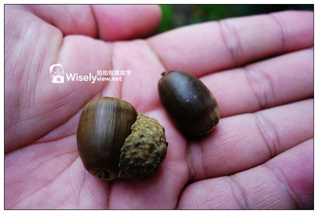 【旅行】2013日本。栃木縣：那須平成之森＠親近大自然，曾為皇室專屬的日光國立公園