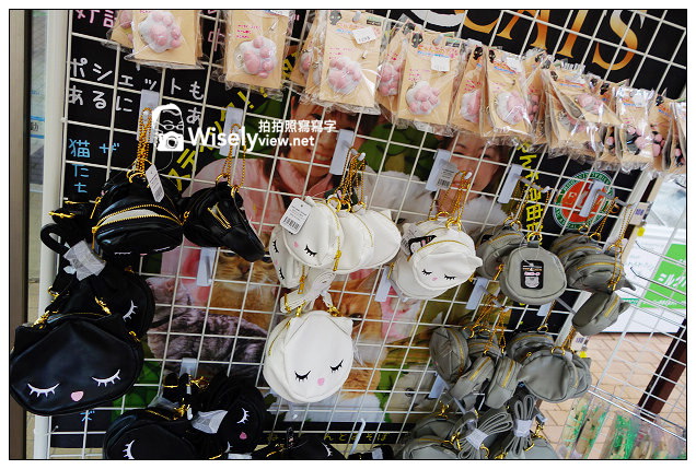 【旅行】2013日本。栃木縣：那須動物王國@可愛貓狗近身玩，還有美麗的高原風景