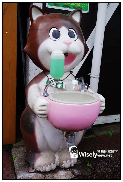 【旅行】2013日本。栃木縣：那須動物王國@可愛貓狗近身玩，還有美麗的高原風景