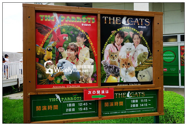 【旅行】2013日本。栃木縣：那須動物王國@可愛貓狗近身玩，還有美麗的高原風景