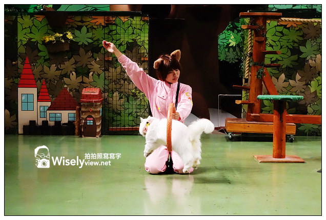 【旅行】2013日本。栃木縣：那須動物王國@可愛貓狗近身玩，還有美麗的高原風景