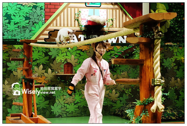 【旅行】2013日本。栃木縣：那須動物王國@可愛貓狗近身玩，還有美麗的高原風景