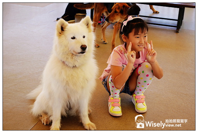【旅行】2013日本。栃木縣：那須動物王國@可愛貓狗近身玩，還有美麗的高原風景