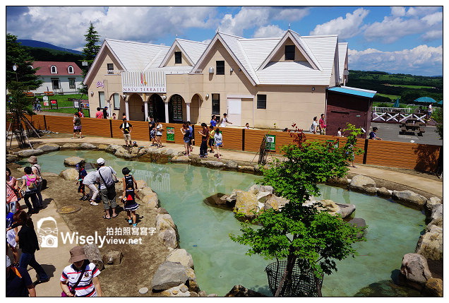 【旅行】2013日本。栃木縣：那須動物王國@可愛貓狗近身玩，還有美麗的高原風景