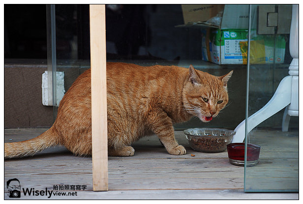 【分享】極致的演進 Olympus E-M1：實拍評測心得＠北京旅遊拍攝作品分享