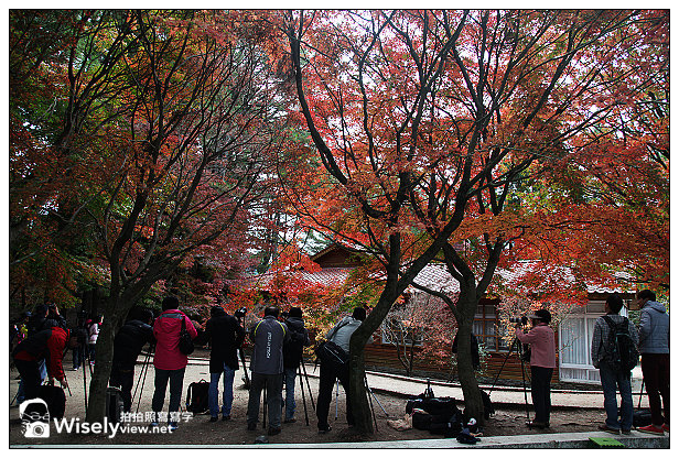 【遊記】賞楓景點：2013台中福壽山農場＠松盧楓紅遊拍(11/11)