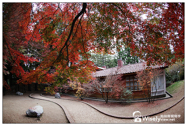 【遊記】賞楓景點：2013台中福壽山農場＠松盧楓紅遊拍(11/11)