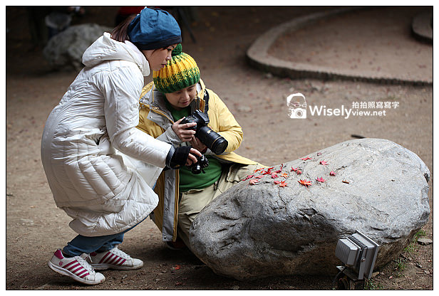 【遊記】賞楓景點：2013台中福壽山農場＠松盧楓紅遊拍(11/11)