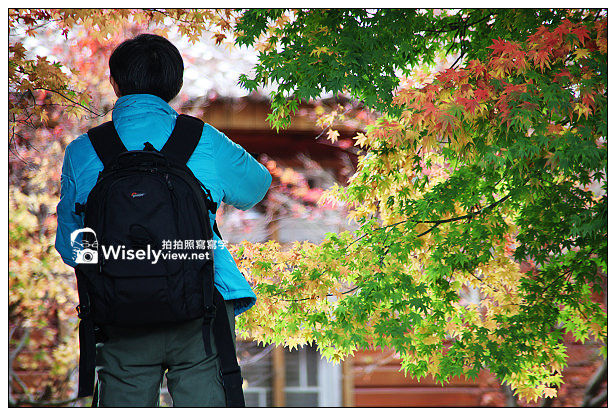 【遊記】賞楓景點：2013台中福壽山農場＠松盧楓紅遊拍(11/11)