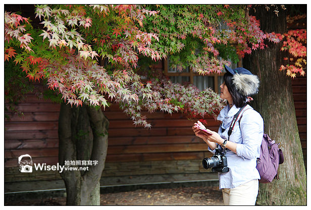 【遊記】賞楓景點：2013台中福壽山農場＠松盧楓紅遊拍(11/11)