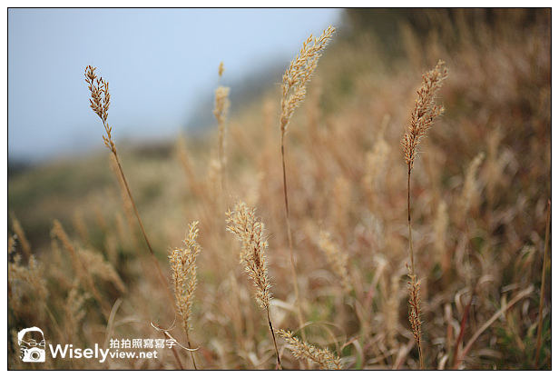 【隨拍】2013台中合歡山雲海&武嶺秋芒＠Canon 5D2 + Tanrom 28-300 VC