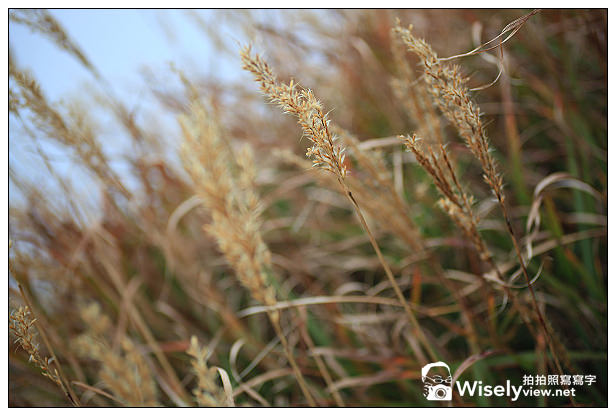 【隨拍】2013台中合歡山雲海&武嶺秋芒＠Canon 5D2 + Tanrom 28-300 VC