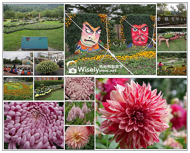 【遊記】2013士林官邸菊展：菊世無雙(11/17~12/1)＠Lumix GM1 + Lumix 12-32mm @WISELY's 拍拍照寫寫字