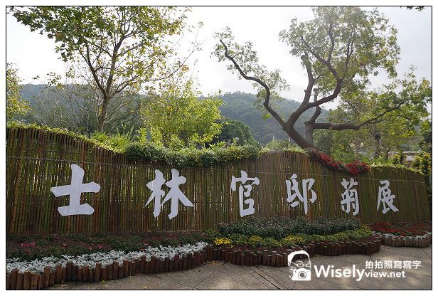 【遊記】2013士林官邸菊展:菊世無雙(11/17~12/1)@Lumix GM1 + Lumix 12-32mm 【遊記】2013士林官邸菊展:菊世無雙(11/17~12/1)@Lumix GM1 + Lumix 12-32mm