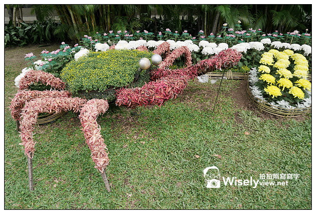 【遊記】2013士林官邸菊展:菊世無雙(11/17~12/1)@Lumix GM1 + Lumix 12-32mm 【遊記】2013士林官邸菊展:菊世無雙(11/17~12/1)@Lumix GM1 + Lumix 12-32mm