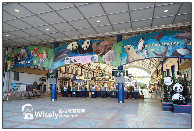【旅行】日本。和歌山縣：西牟婁郡白濱町＠ADVENTURE WORLD(冒險大世界)～以貓熊和海豚為主的動物遊樂園，還有特色貓熊杯