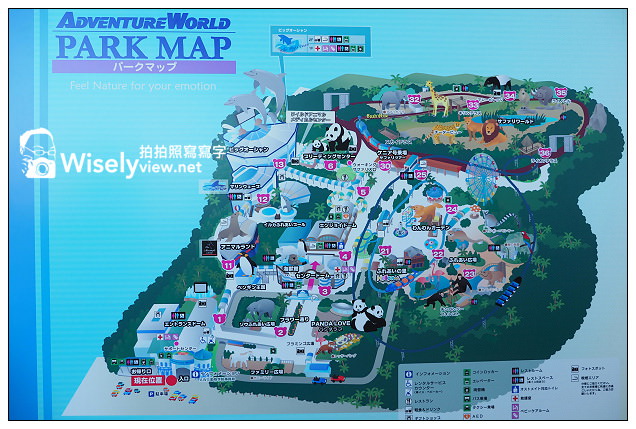 【旅行】日本。和歌山縣：西牟婁郡白濱町＠ADVENTURE WORLD(冒險大世界)～以貓熊和海豚為主的動物遊樂園，還有特色貓熊杯