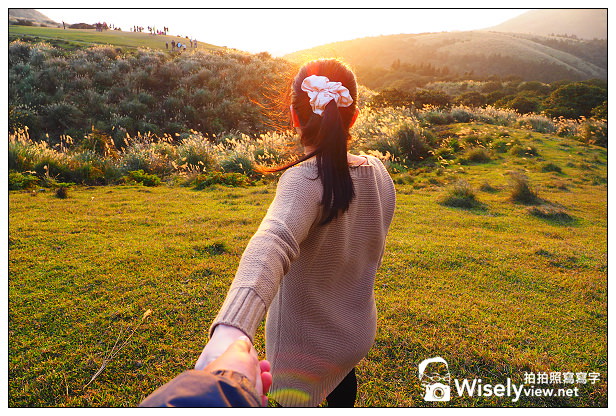 【遊記】台北市。北投區：陽明山一日遊：冷水坑、菁山吊橋、擎天崗～秋日芒草 @WISELY's 拍拍照寫寫字