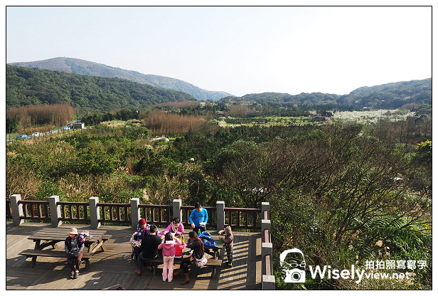 【遊記】台北市。北投區：陽明山一日遊：冷水坑、菁山吊橋、擎天崗～秋日芒草