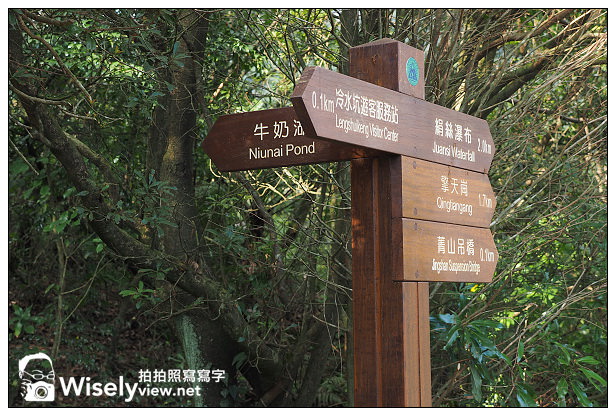 【遊記】台北市。北投區：陽明山一日遊：冷水坑、菁山吊橋、擎天崗～秋日芒草