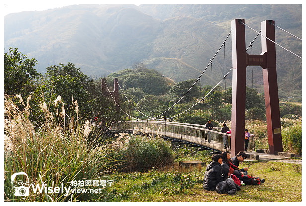 【遊記】台北市。北投區：陽明山一日遊：冷水坑、菁山吊橋、擎天崗～秋日芒草