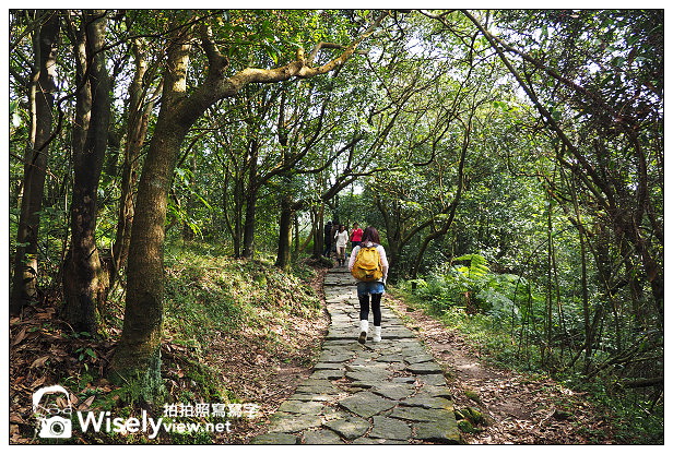 【遊記】台北市。北投區：陽明山一日遊：冷水坑、菁山吊橋、擎天崗～秋日芒草