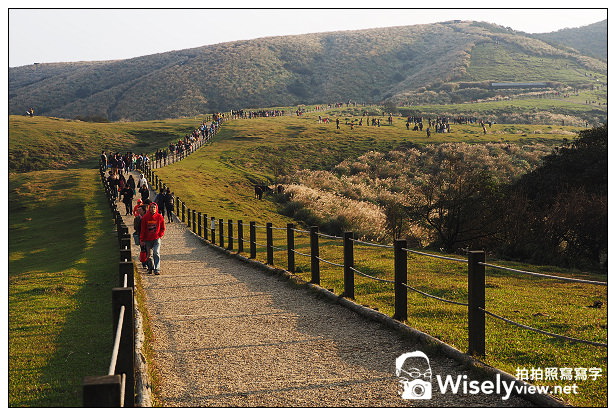 【遊記】台北市。北投區：陽明山一日遊：冷水坑、菁山吊橋、擎天崗～秋日芒草