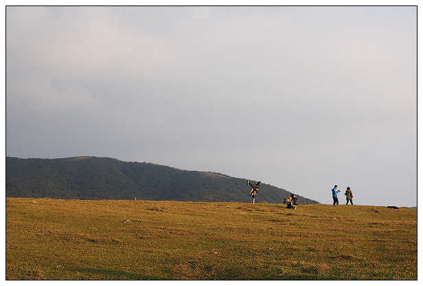 【遊記】台北市。北投區：陽明山一日遊：冷水坑、菁山吊橋、擎天崗～秋日芒草