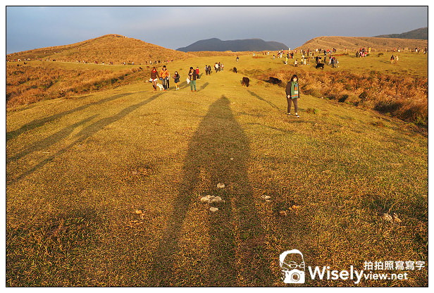 【遊記】台北市。北投區：陽明山一日遊：冷水坑、菁山吊橋、擎天崗～秋日芒草