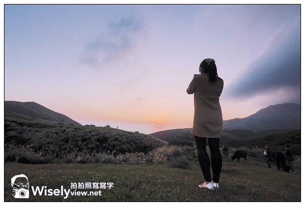 【遊記】台北市。北投區：陽明山一日遊：冷水坑、菁山吊橋、擎天崗～秋日芒草