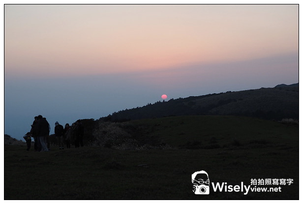 【遊記】台北市。北投區：陽明山一日遊：冷水坑、菁山吊橋、擎天崗～秋日芒草