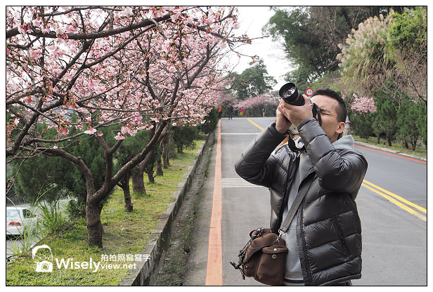 【遊記】新北市。新店烏來櫻花一日遊：花園新城、屈尺櫻花街&烏來環山路～(櫻花小旅行攝影講座筆記)