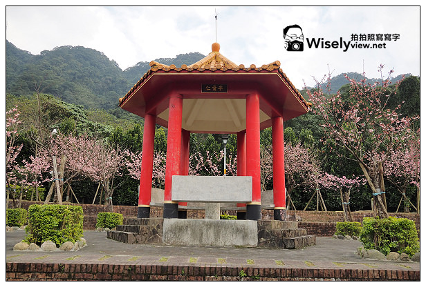 【遊記】新北市。新店烏來櫻花一日遊：花園新城、屈尺櫻花街&烏來環山路～(櫻花小旅行攝影講座筆記)