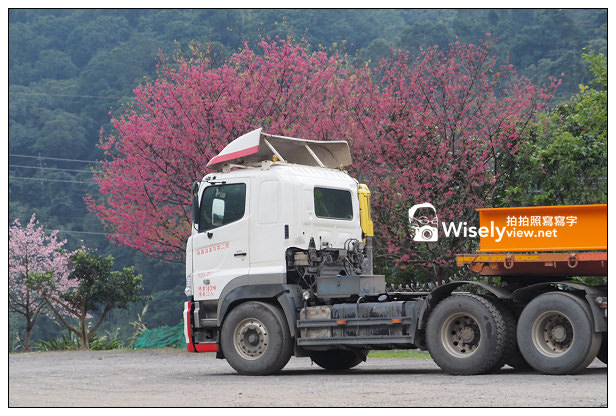 【遊記】新北市。新店烏來櫻花一日遊：花園新城、屈尺櫻花街&烏來環山路～(櫻花小旅行攝影講座筆記)