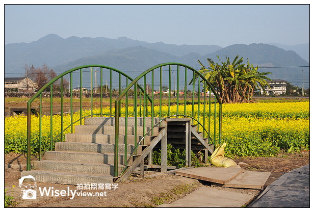 【遊記】宜蘭縣。三星鄉：搖搖洛克馬(黃色木馬)＠位於三星路四段235號，展期1/22~2/14