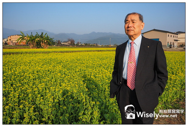 【遊記】宜蘭縣。三星鄉：搖搖洛克馬(黃色木馬)＠位於三星路四段235號，展期1/22~2/14