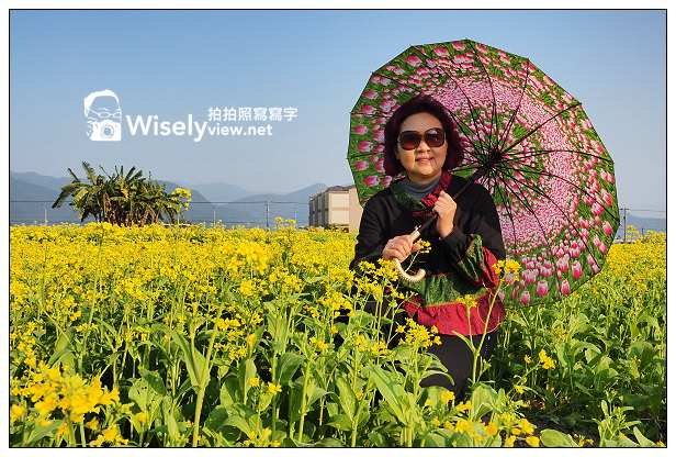 【遊記】宜蘭縣。三星鄉：搖搖洛克馬(黃色木馬)＠位於三星路四段235號，展期1/22~2/14