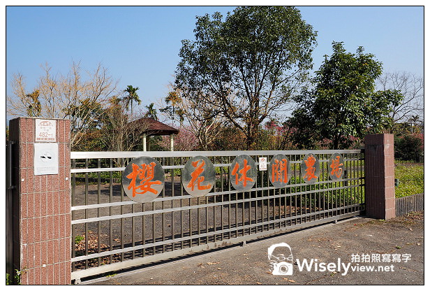 宜蘭大同 李花櫻花秘境︱泰雅一路400號沿途右側,櫻花休閒農場之前 宜蘭大同 李花櫻花秘境︱泰雅一路400號沿途右側,櫻花休閒農場之前
