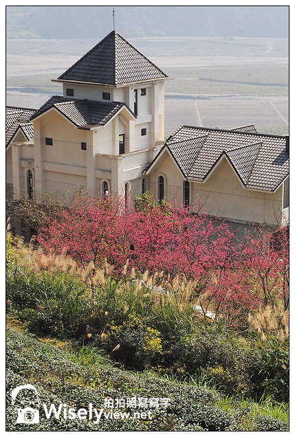 宜蘭大同︱茶之鄉民宿(田媽媽)、玉蘭茶園~沿途櫻花伴環山美景 宜蘭大同︱茶之鄉民宿(田媽媽)、玉蘭茶園~沿途櫻花伴環山美景