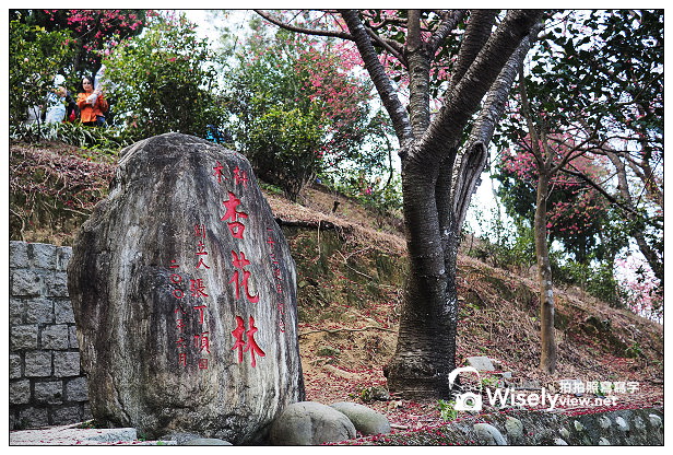 【遊記】台北市。文山區：老泉街45巷＠政大後山杏花林＆阿桃草仔粿，含交通指南