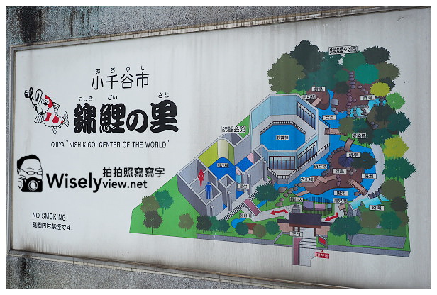 【旅行】日本。新潟縣：小千谷市＠錦鯉之里&織物工房(世界無形文化遺產)