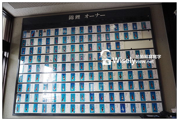 【旅行】日本。新潟縣：小千谷市＠錦鯉之里&織物工房(世界無形文化遺產)