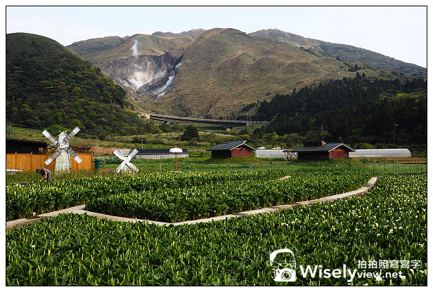 【遊記】台北市。陽明山花季：2014竹子湖海芋季@3/21~4/27，活動內容&交通資訊