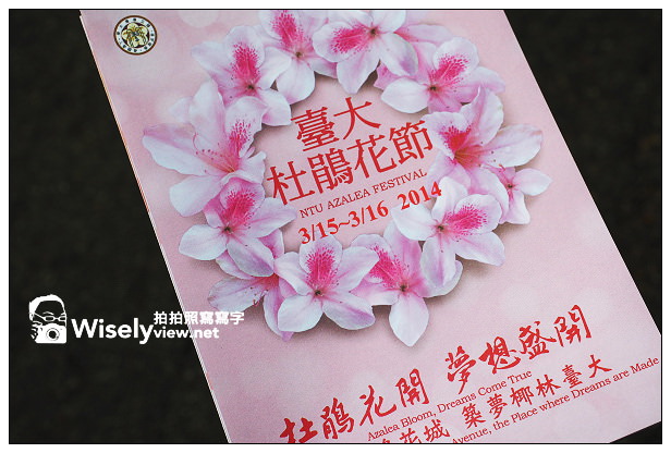 【遊記】台北市。中正區:2014台大杜鵑花節隨拍(3/16花況),韓客御廚食記@公館商圈 【遊記】台北市。中正區:2014台大杜鵑花節隨拍(3/16花況),韓客御廚食記@公館商圈