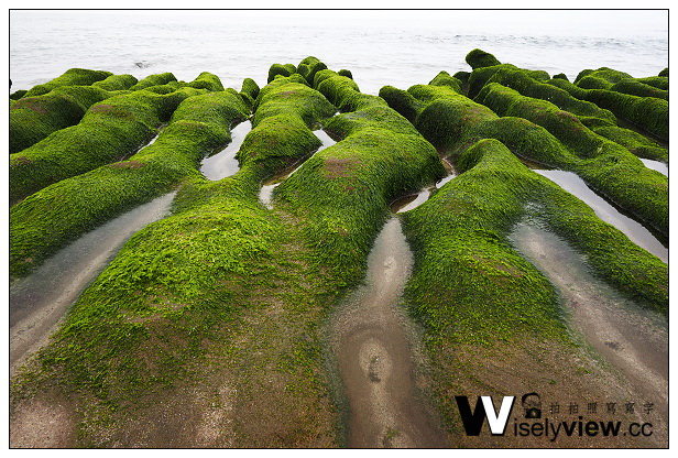 【遊記】新北市。石門區：劉家肉粽、2014老梅綠石槽(季節限定)＠交通資訊與拍攝心得